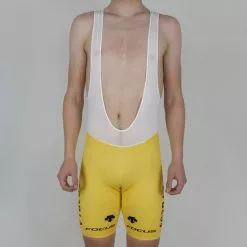 Descente BIB Shorts - AG2R La Mondiale - TDF '15