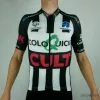 Aero Jersey - Fusion C3+ - Team Coloquick-Cult